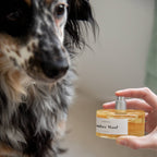 Pawness – Timber Woof – Natural Dog Perfume
