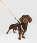 CAFIDE – Juno Leash Peach – Recycled PET