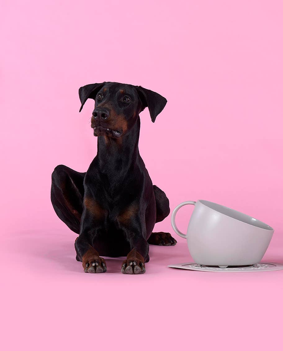 United Pets – CUP – Recycled Non-Slip Dog Bowl 2.5 L