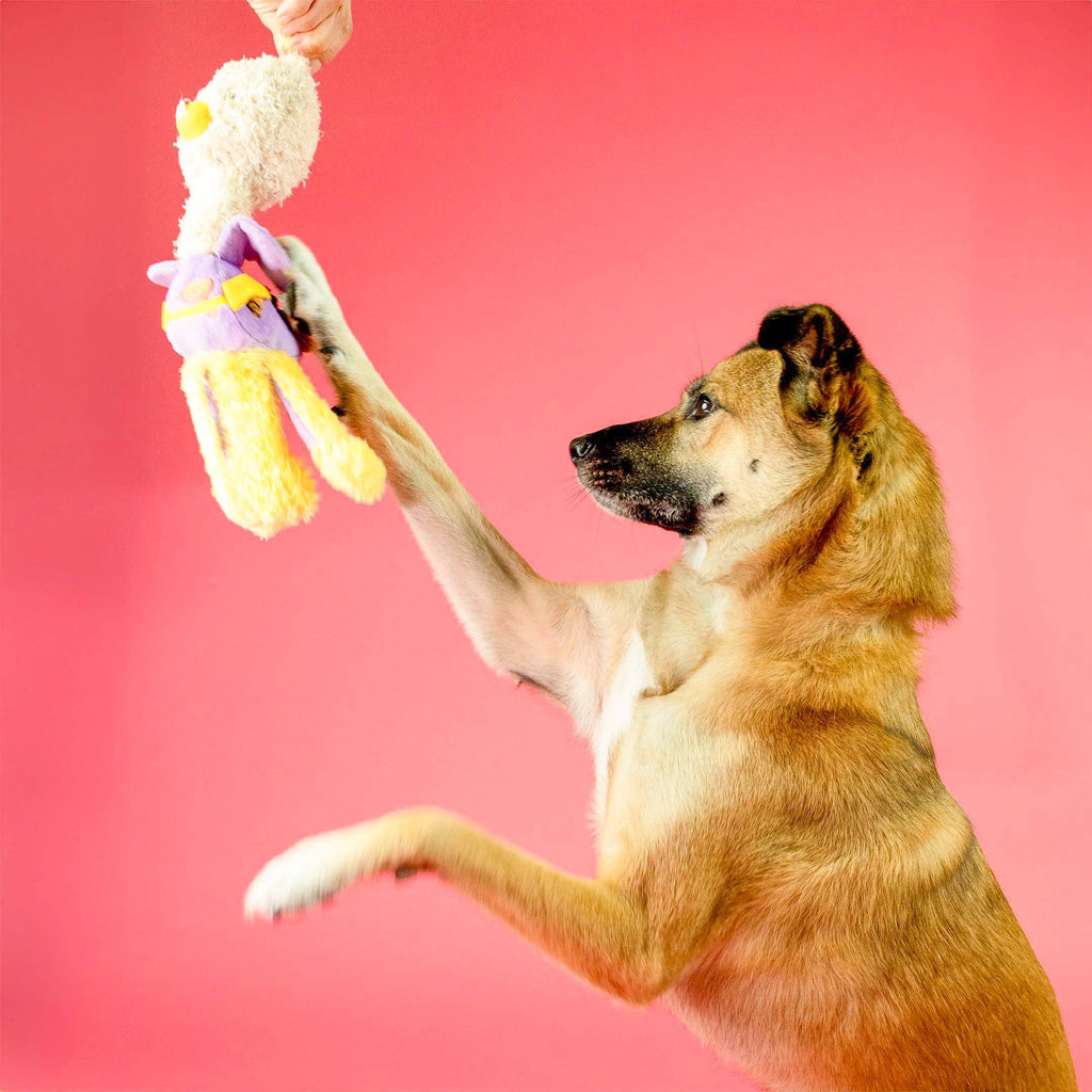 The Furryfolks – OstriKraken – Juguete Interactivo