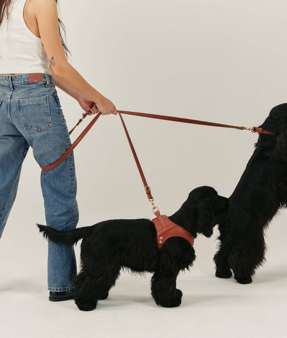 CAFIDE – Correa de Cuero Vegano Jala Marrón – Multi-Posición