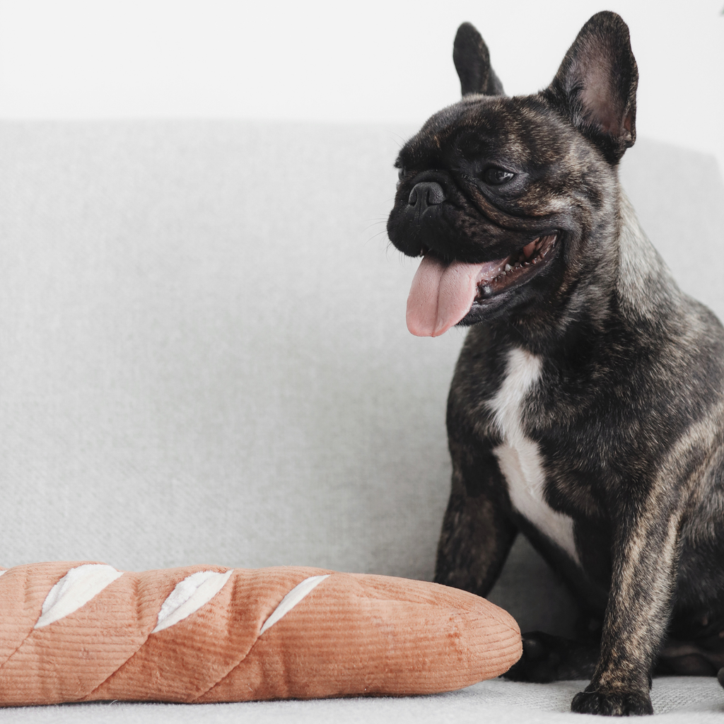 Lambwolf - Baguette - Enrichment Dog Snuffle Toy
