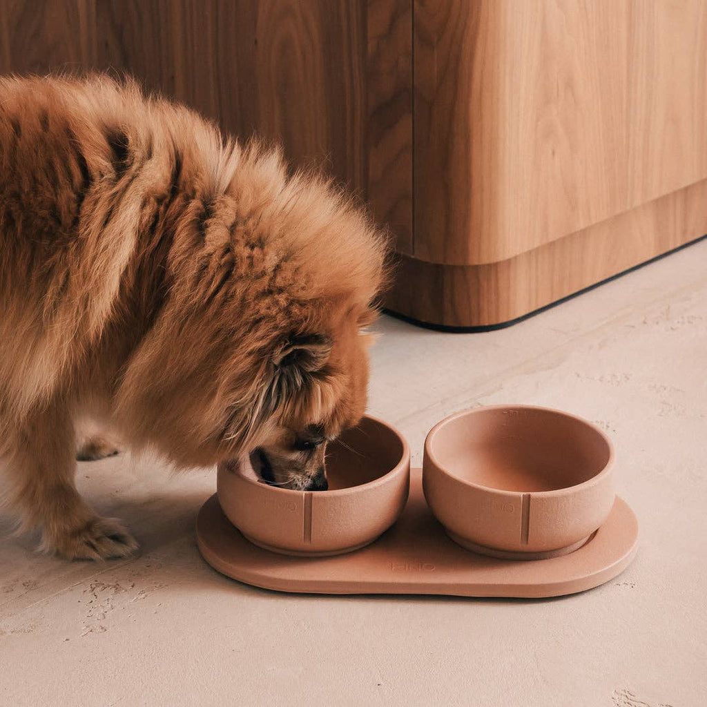 Pino – Classic Dog Bowl – Ultra-durable Sandstone & Hypoallergenic