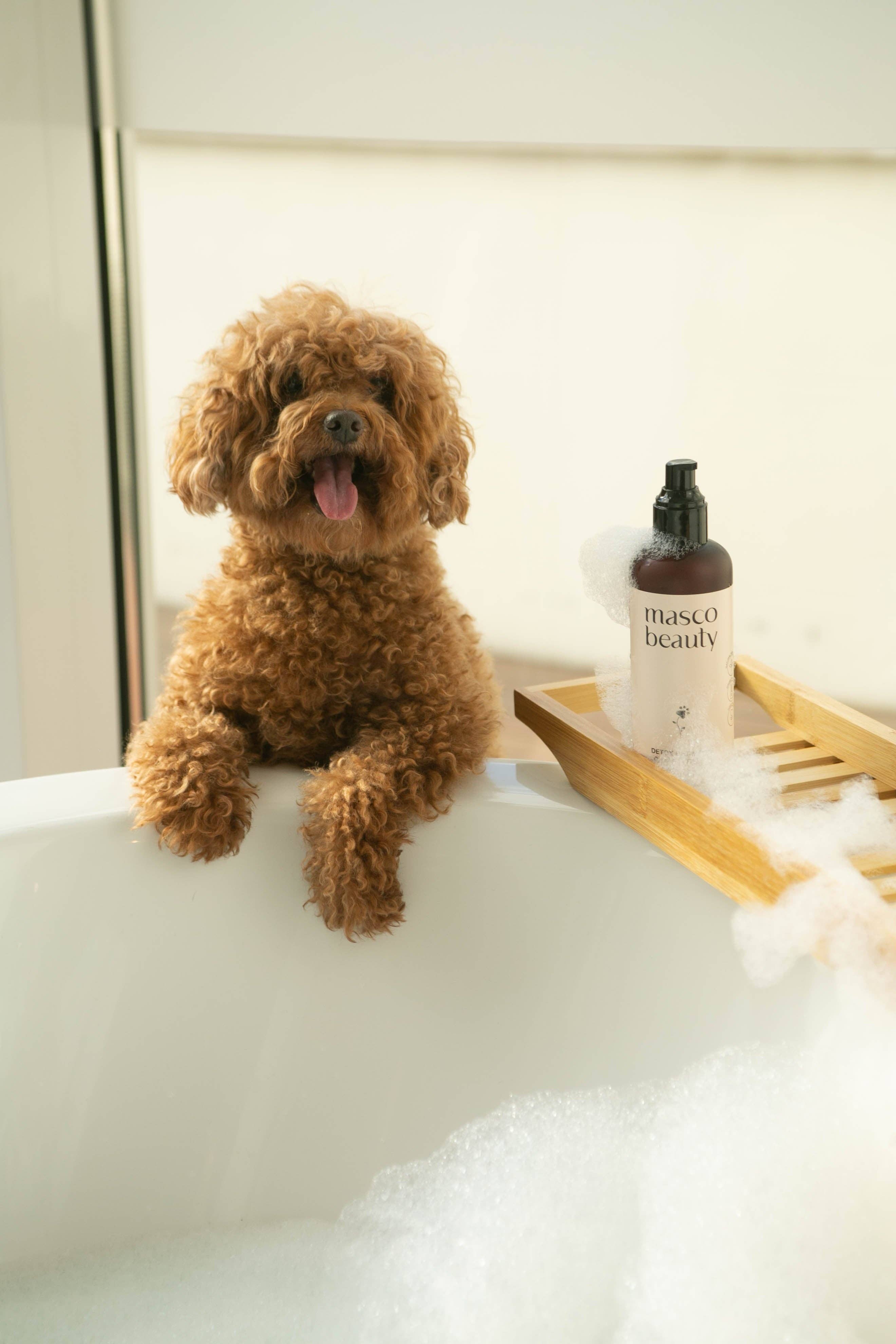 Masco Beauty – Detox Shampoo – Sensitive Skin