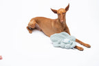 United Pets – Mok Mok – Anti Stress Plush Dog Toy With Essential Oils