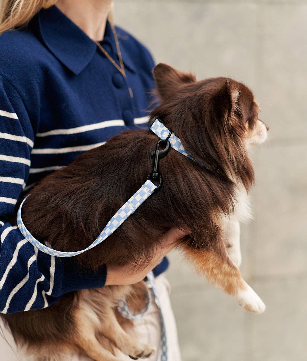 CAFIDE – Juno Leash – Recycled PET