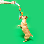 The Furryfolks – Fishing – Jugete Interactivo Tira y Afloja