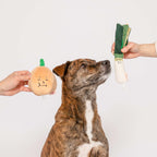 The Furryfolks – Yellow Onion – Dog Interactive Nosework Toy