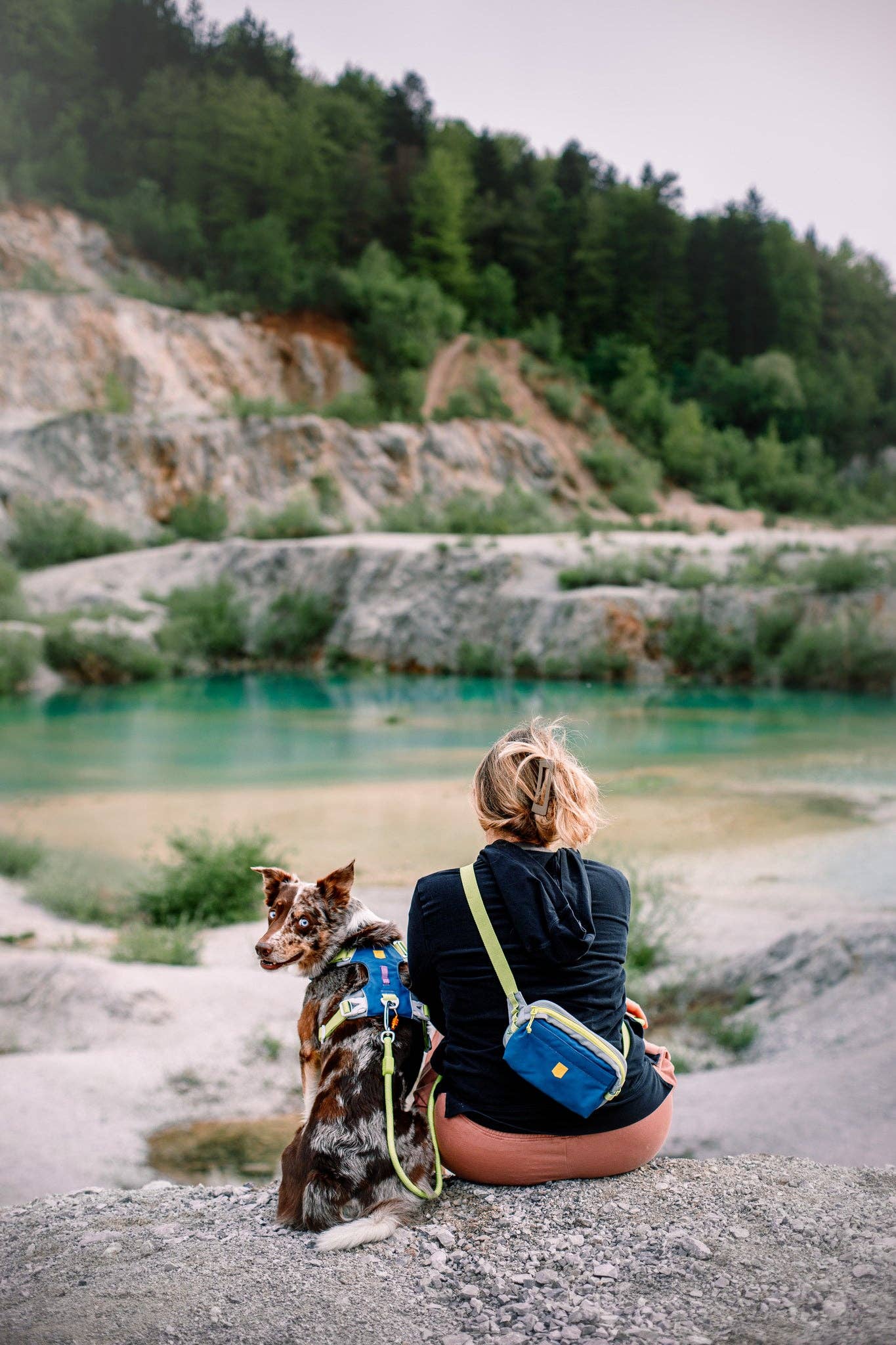 Woolly Wolf - Alpha 360 Hip Pack Deep Teal Recycled (RPET)
