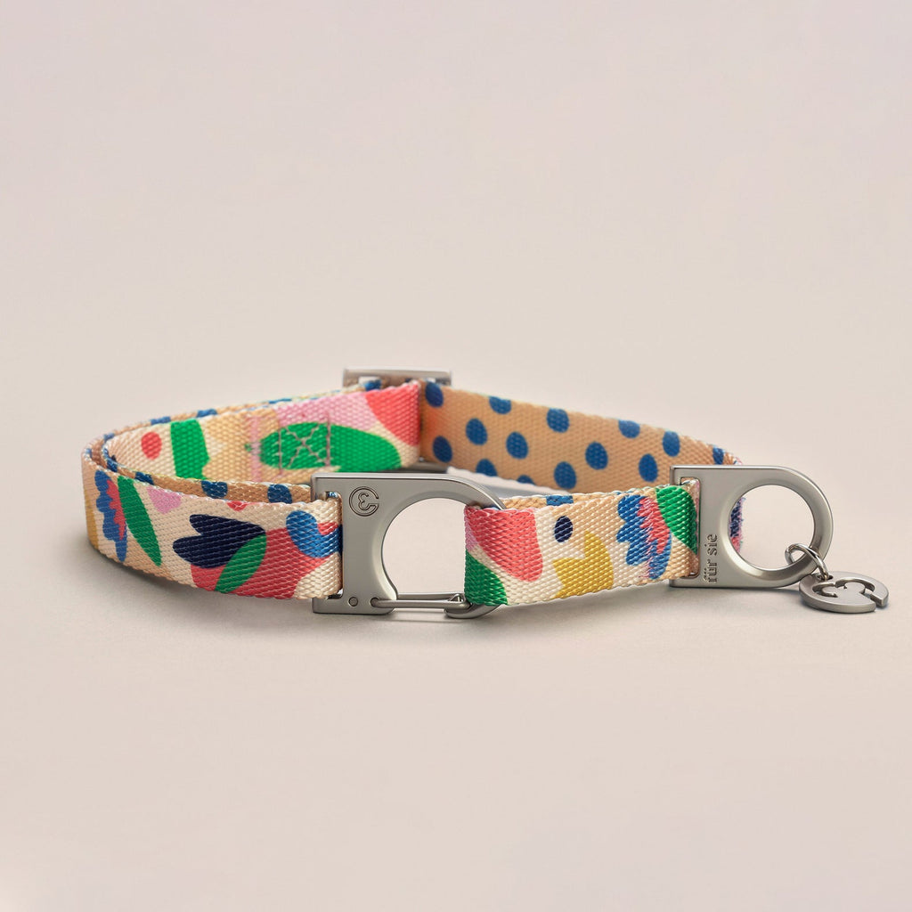 Fur Sie Dog Collar - Gaston