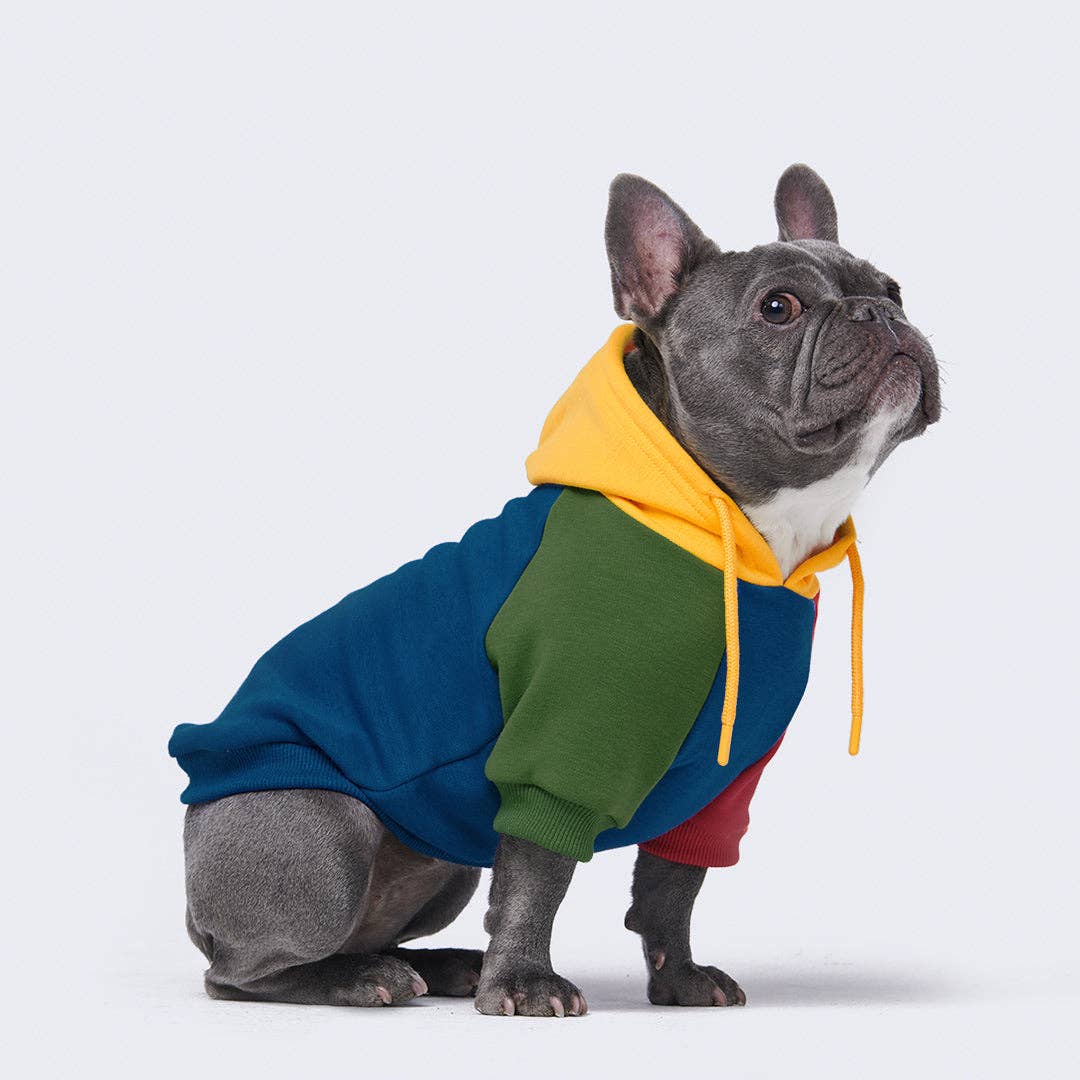 Spark Paws - Primary Color Block Dog Hoodie