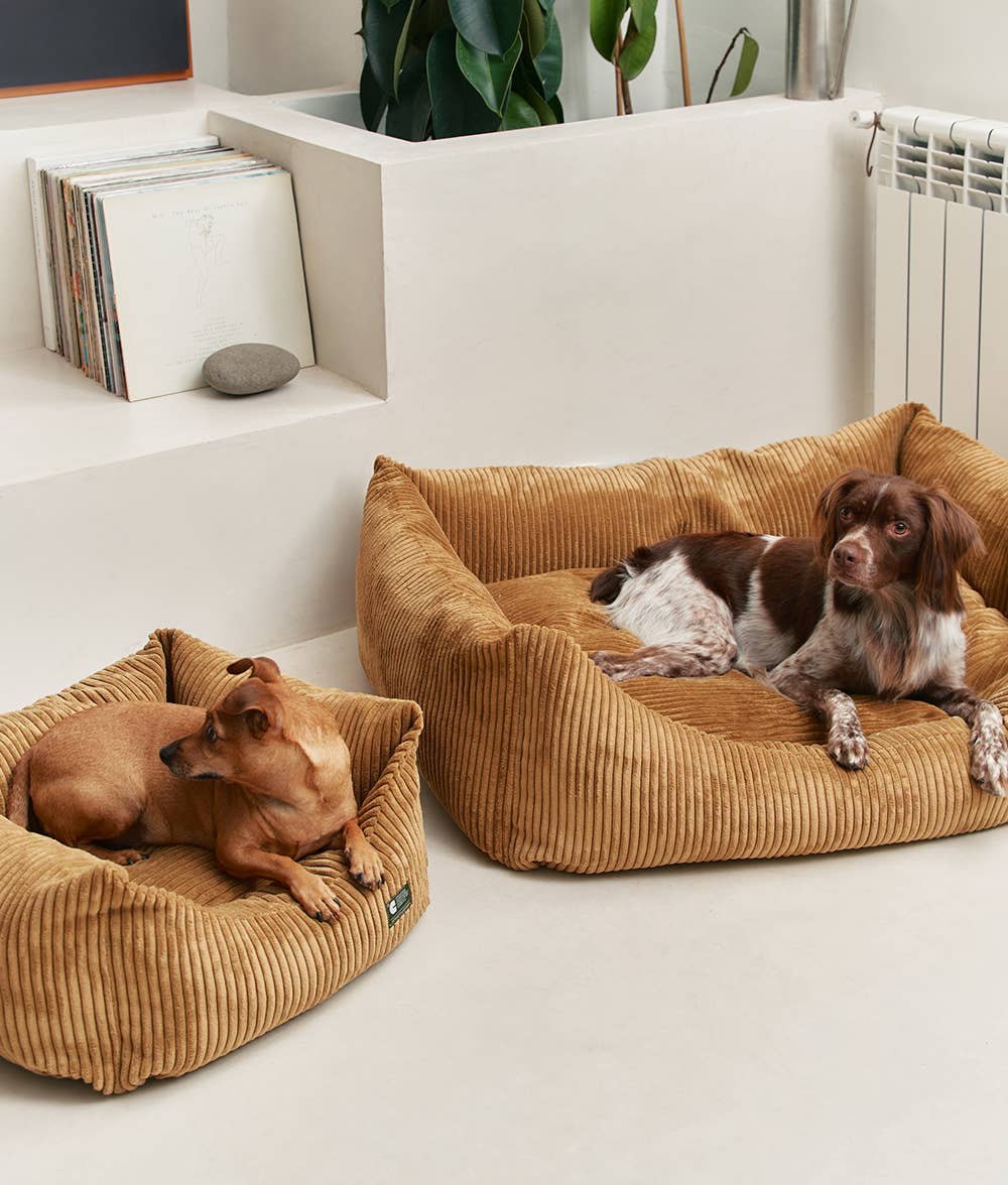 CAFIDE – Mustard Corduroy – Recycled Foam Fill Dog Bed