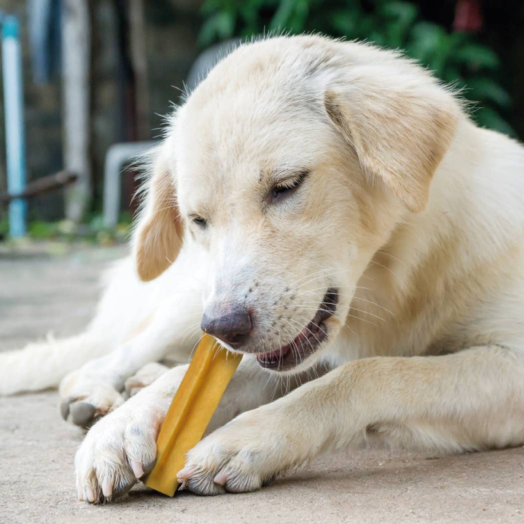 Churpi Dog Chew – Natural Yak Bar
