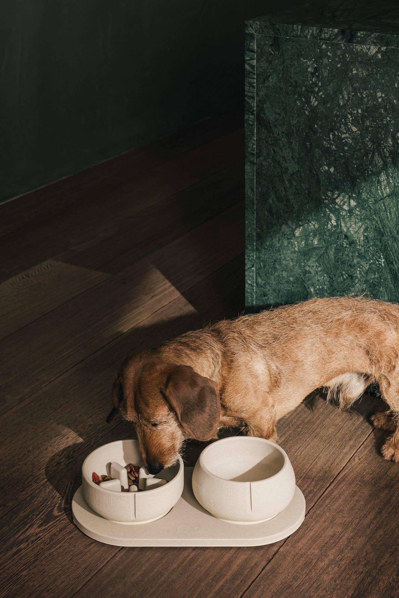 Pino – Slow Feeder Bowl – Ultra-durable Sandstone & Hypoallergenic