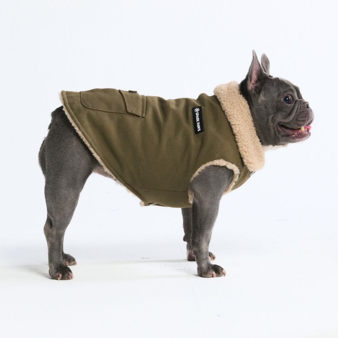 Spark Paws – Chaqueta con Forro Sherpa – Verde