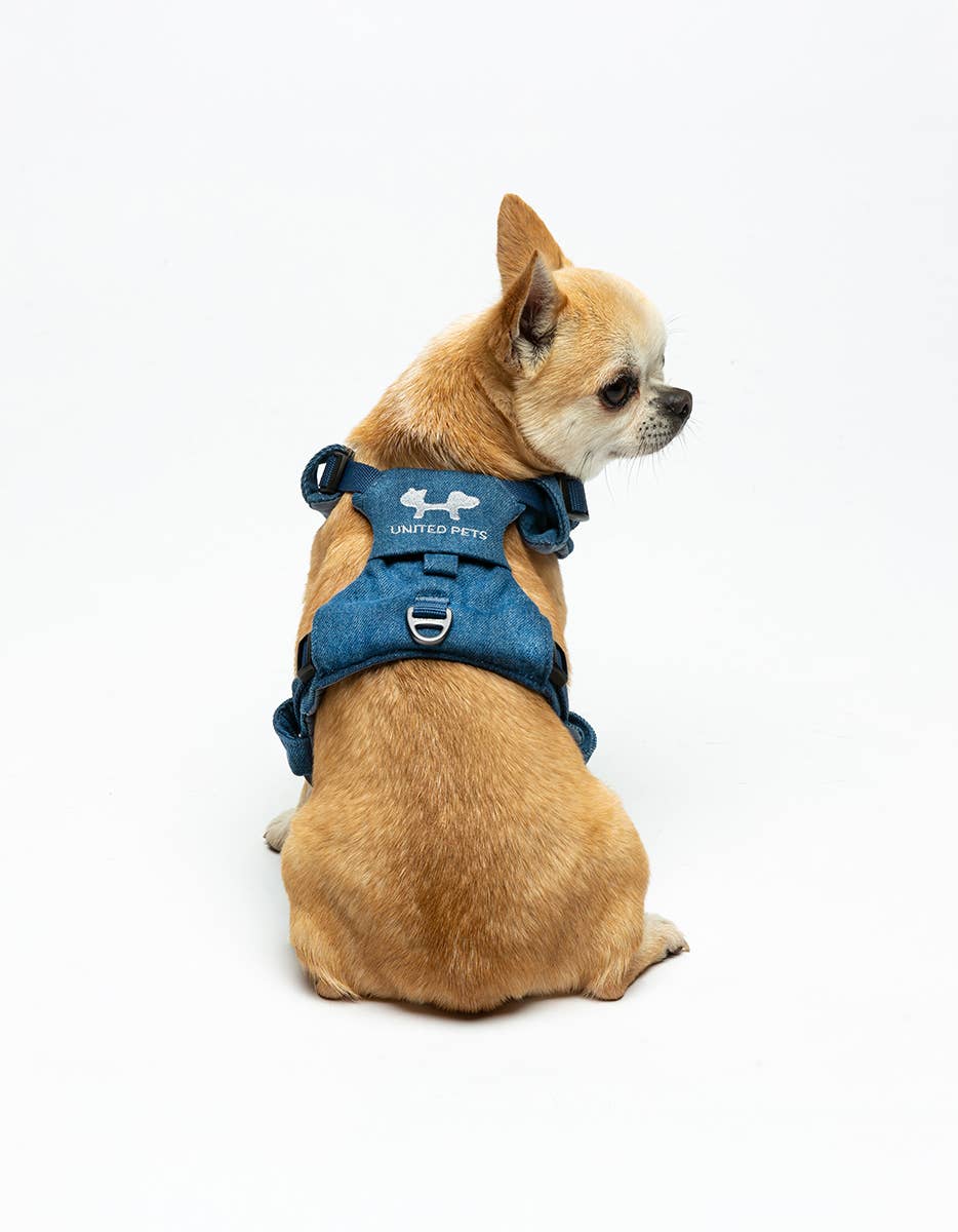 United Pets – Citylife H-Harness Jeans – Padded Comfort