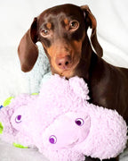 United Pets – Nocciolino – Anti Stress Plush Dog Toy With Essential Oils