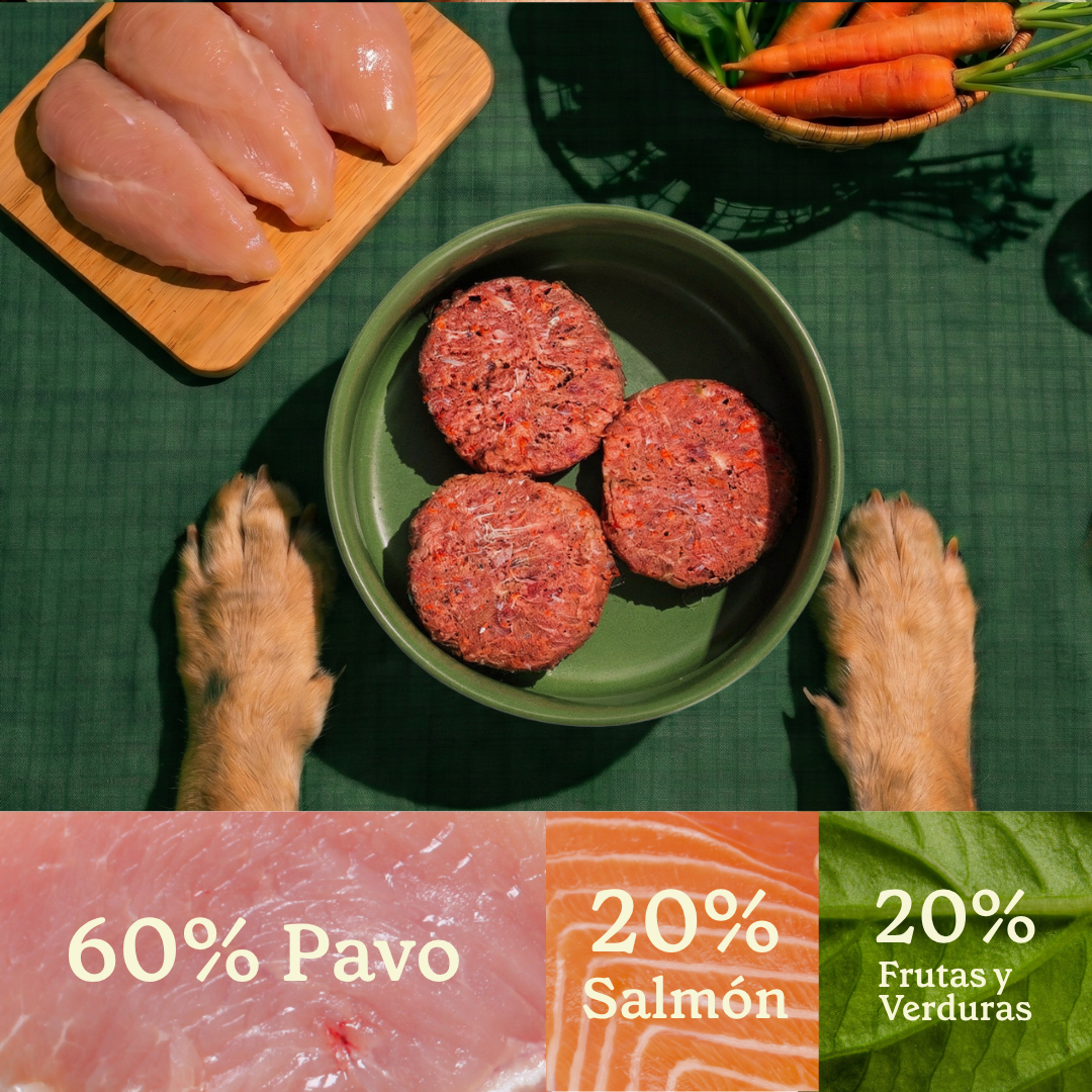 Wild Balance Comida BARF para Perros - Salmon & Pavo