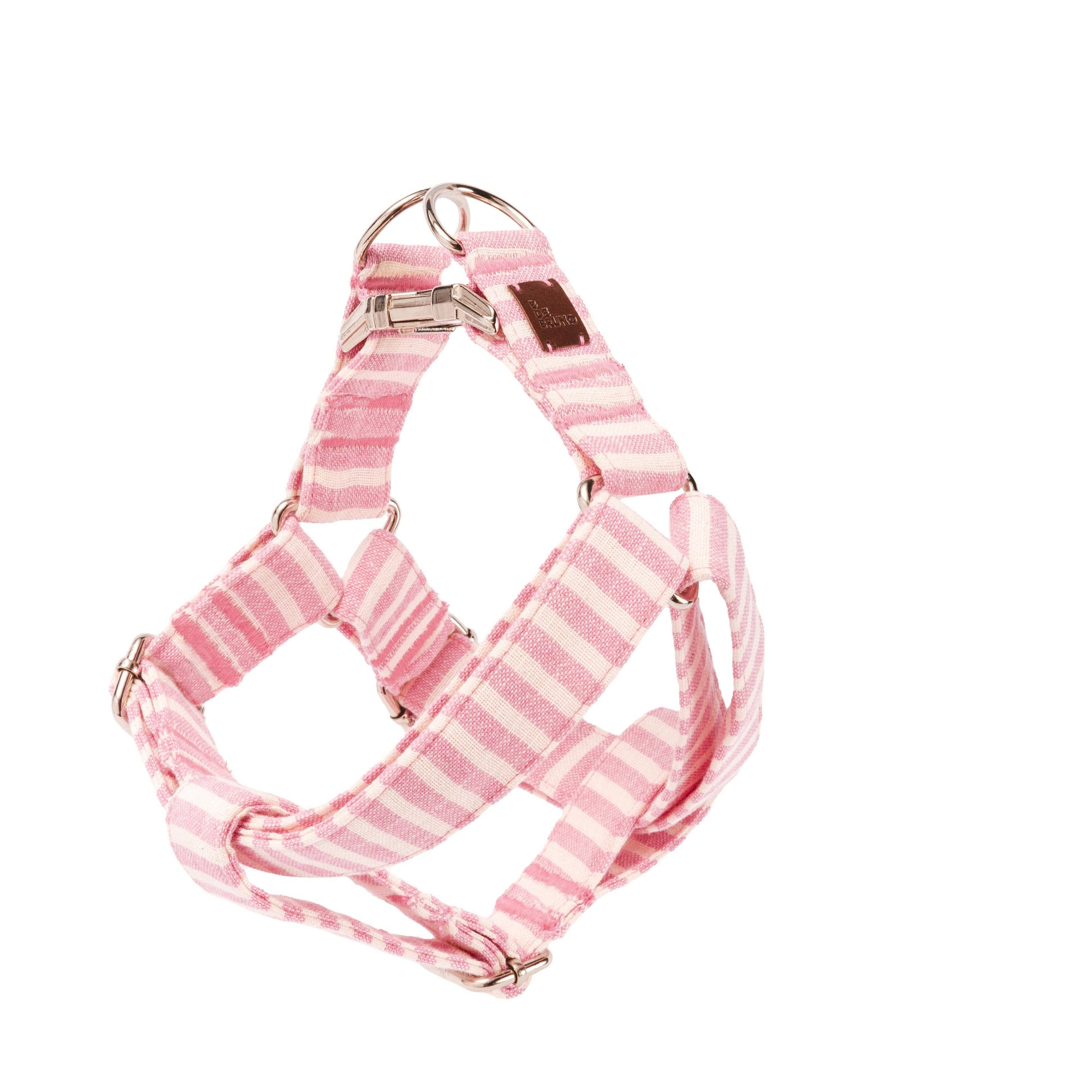 B de Bruno – Levante Harness