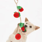 The Furryfolks – Tomate Cherry – Jugete Interactivo Tira y Afloja