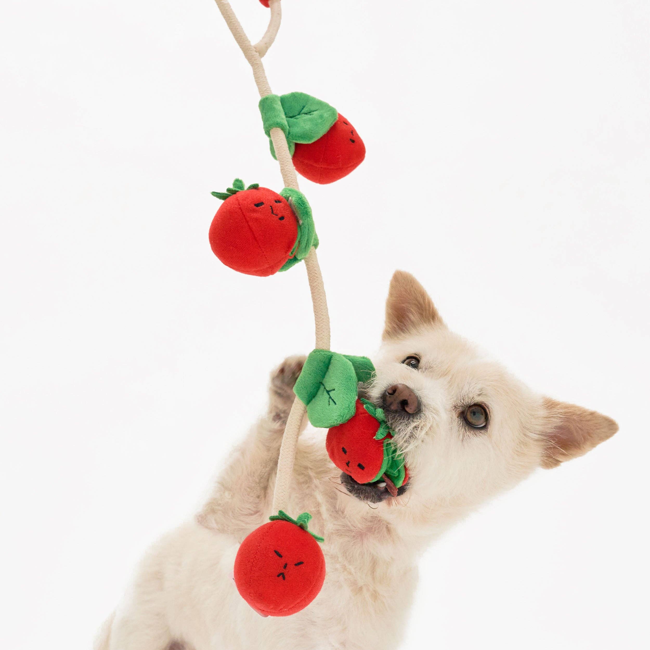 The Furryfolks – Tomate Cherry – Jugete Interactivo Tira y Afloja
