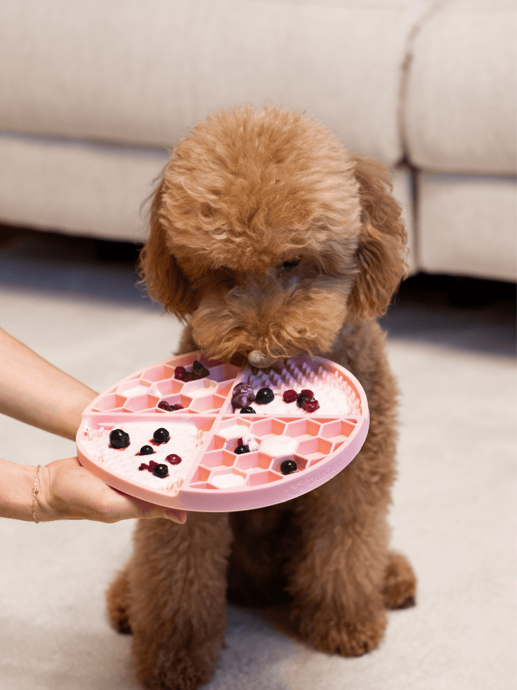 Dukier – Lick Mat – Stress-Reducing Food-Grade Silicone