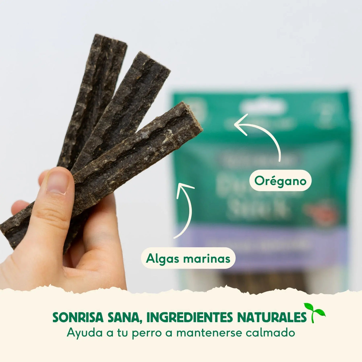 Wild Balance Dental Snack – Beef & Seaweed – Plaque Remover