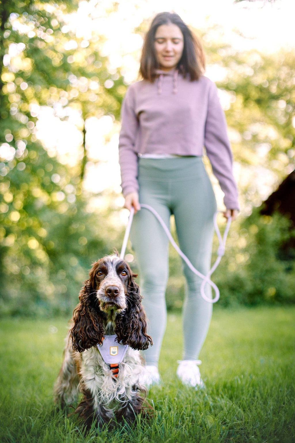 Woolly Wolf – Colour Block Harness – Recycled RPET