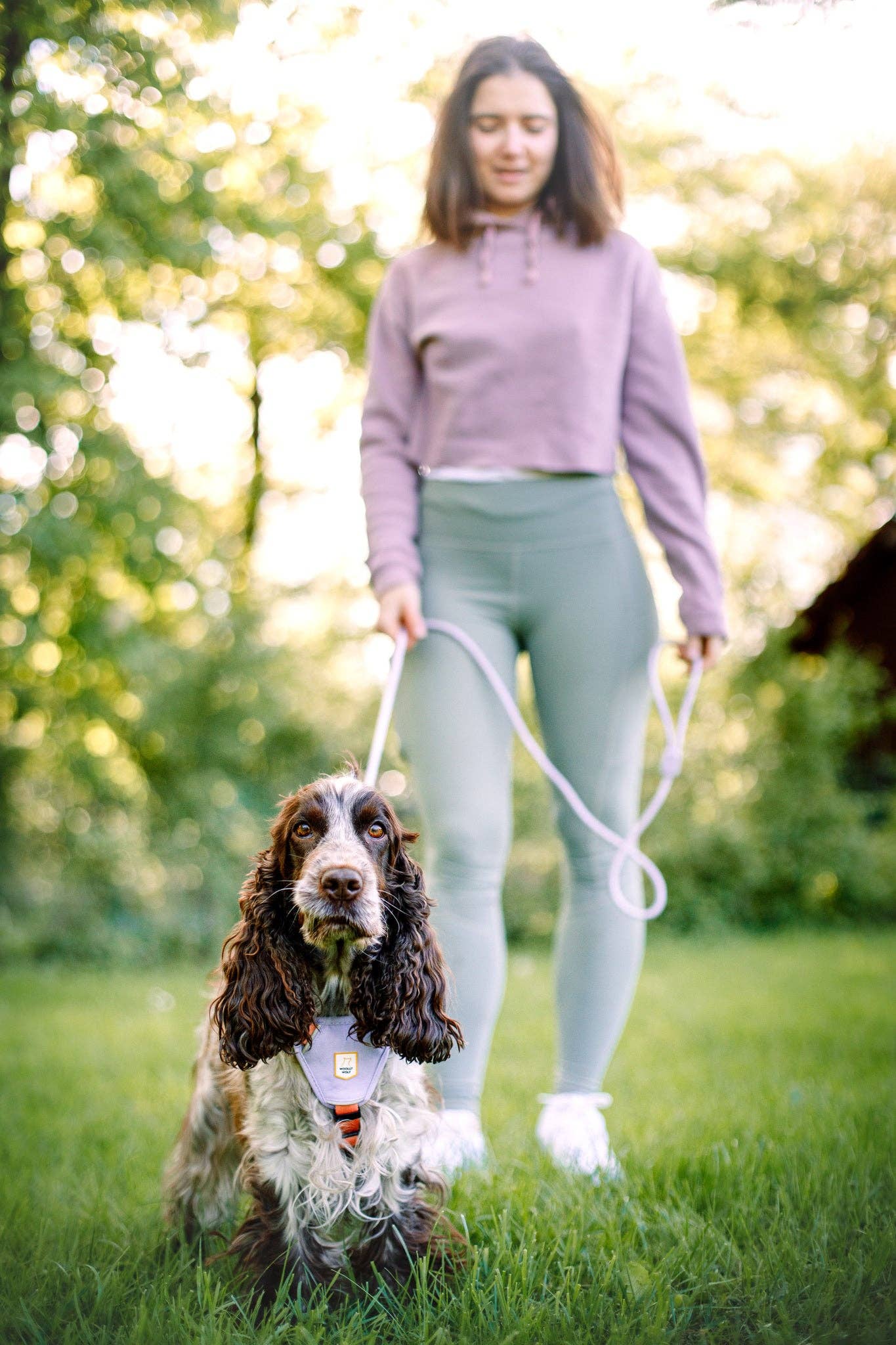 Woolly Wolf – Colour Block Harness – Recycled RPET