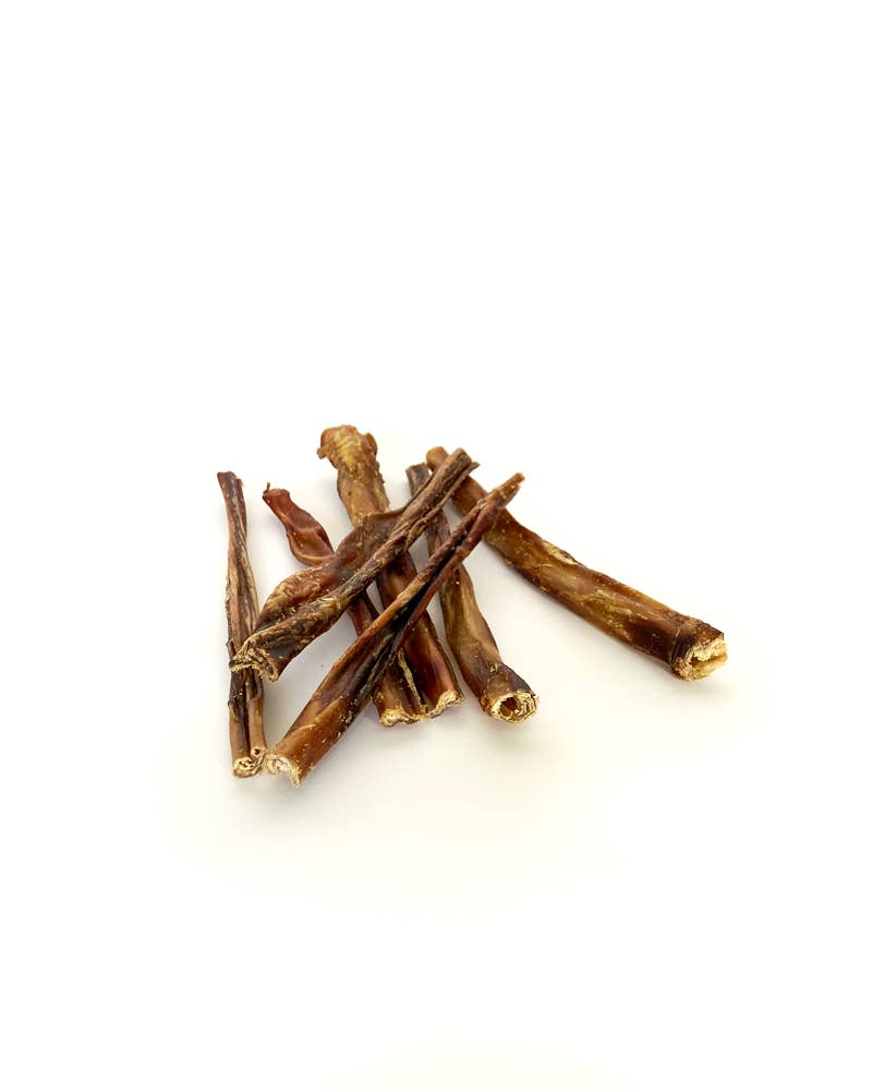 Mr.Bones Natural Dog Chews – Iberian Pork Nerve – Natural Dental Health