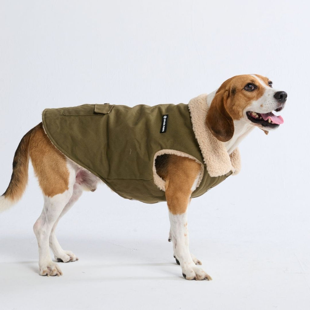 Spark Paws – Chaqueta con Forro Sherpa – Verde