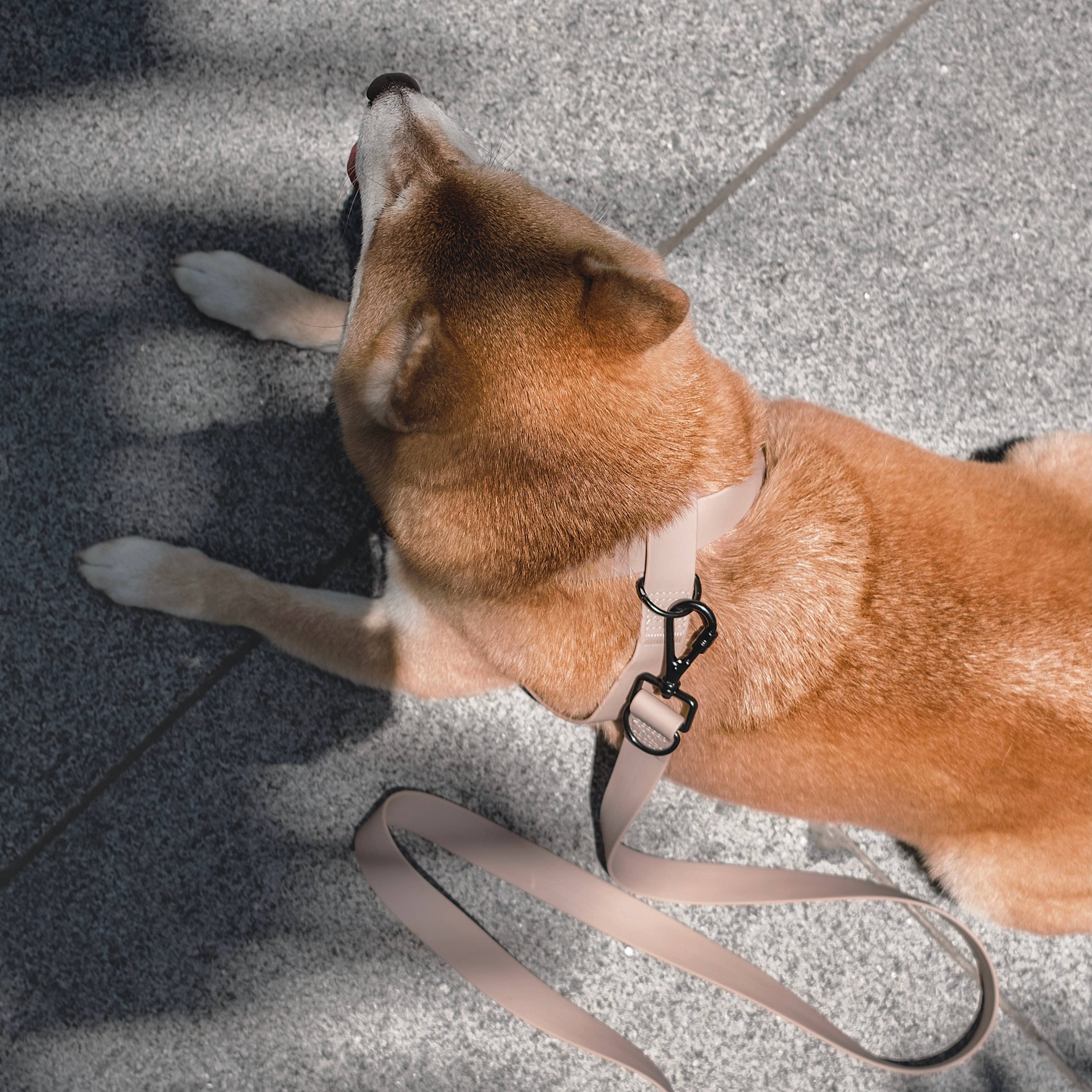 Lambwolf – Otto Harness – Waterproof