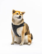 United Pets – Citylife H-Harness Anthracite Grey – Padded Comfort