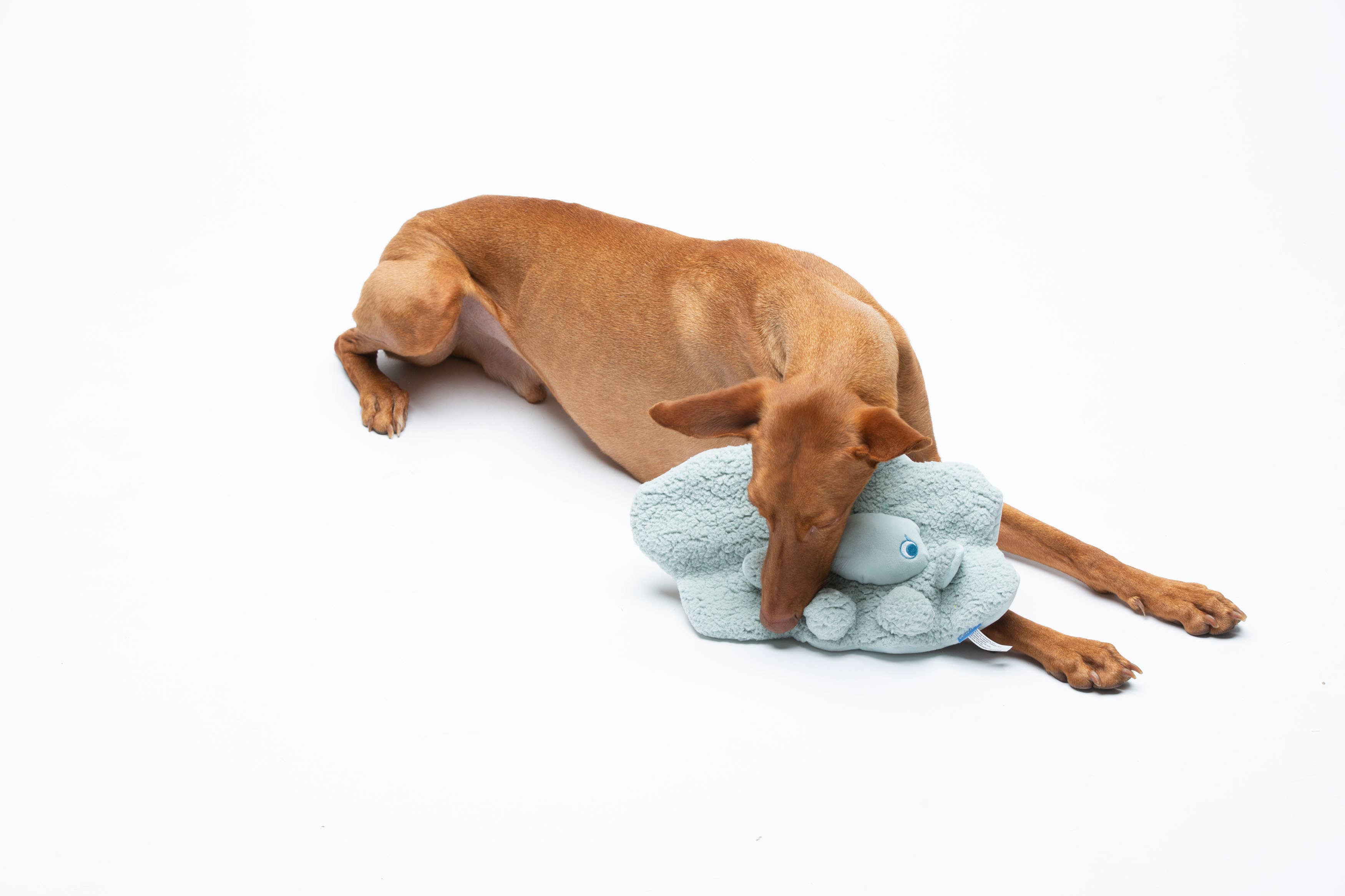 United Pets – Mok Mok – Anti Stress Plush Dog Toy With Essential Oils