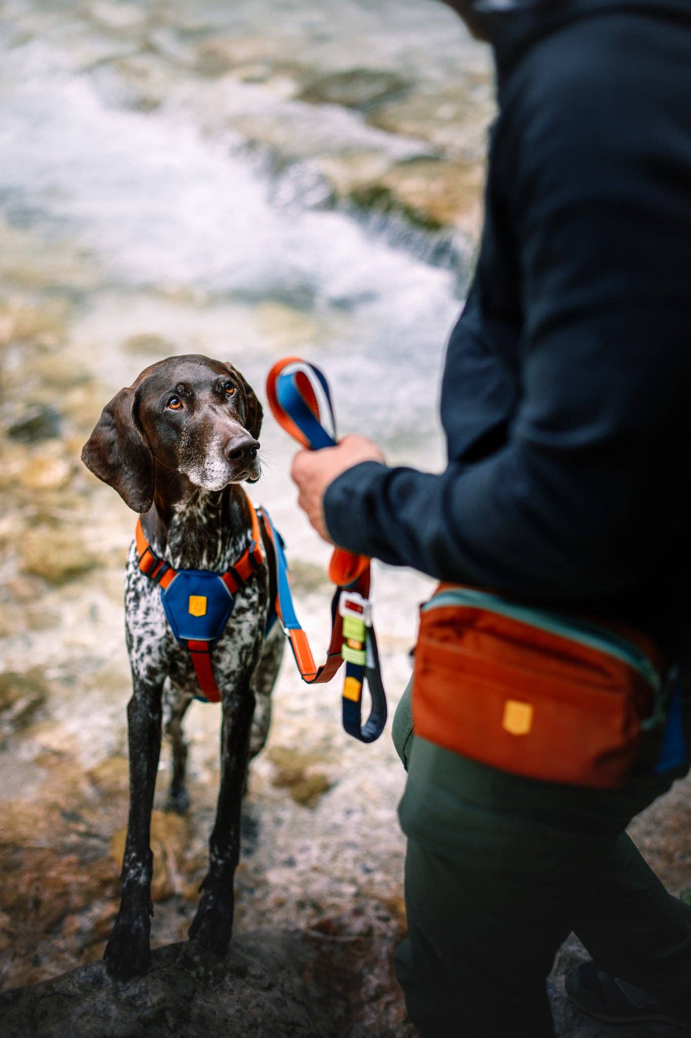 Woolly Wolf – Multi-Use Leash – Recycled RPET