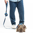 United Pets – Correa Citylife Tejana– Mango Acolchado