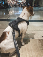 United Pets – Citylife H-Harness Anthracite Grey – Padded Comfort