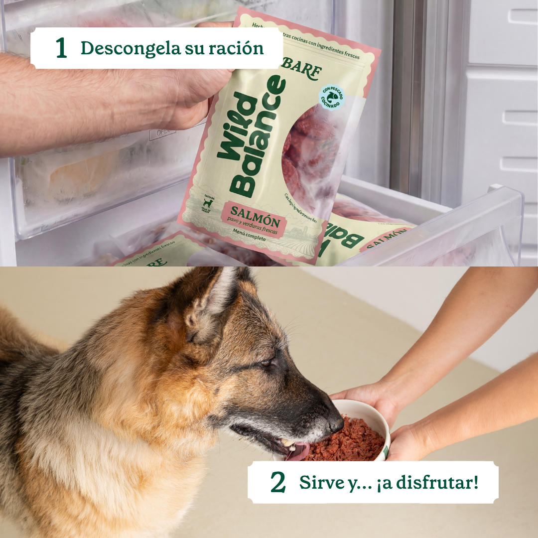 Wild Balance Comida BARF para Perros - Salmon & Pavo