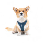 Woolly Wolf – Roam Harness – Recycled RPET