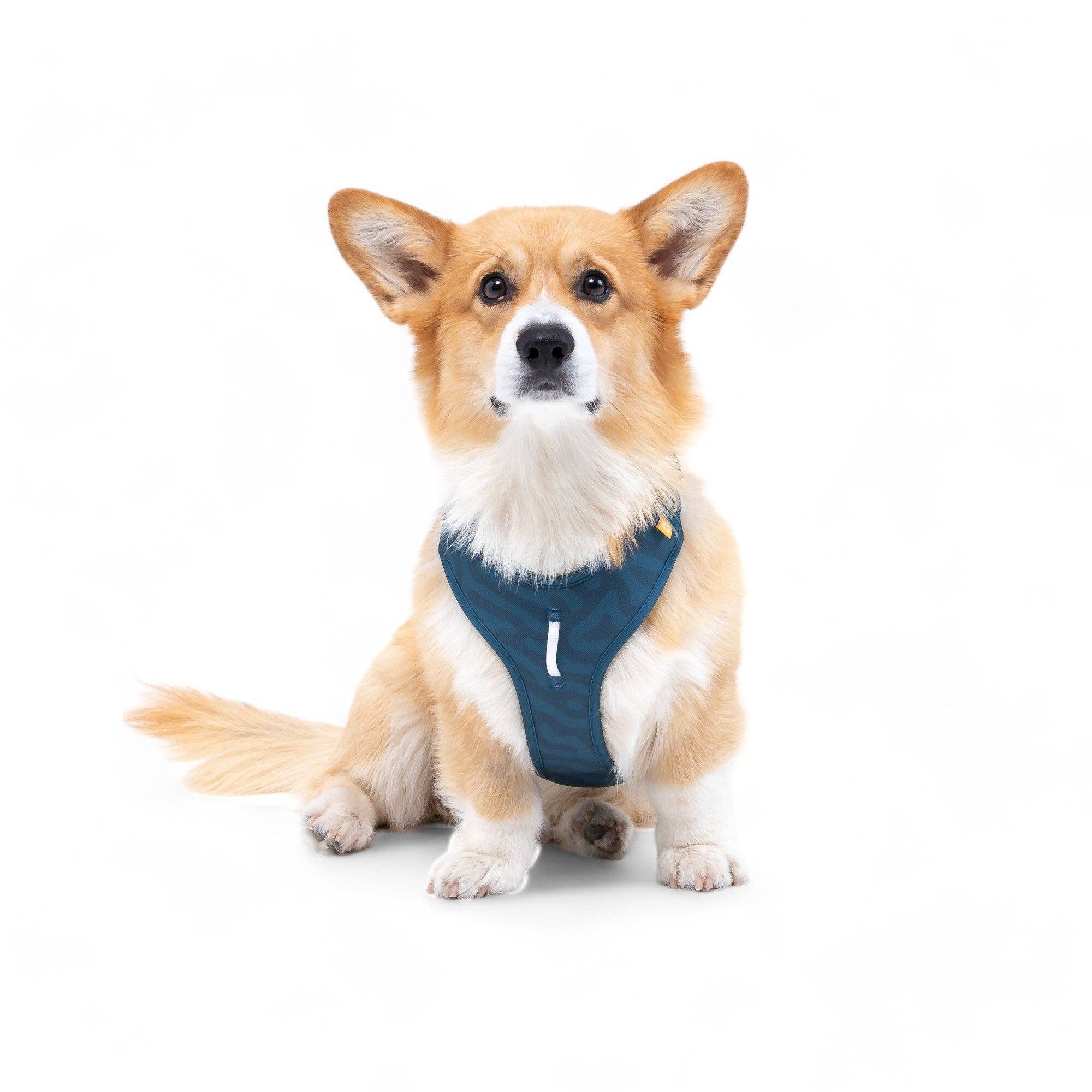 Woolly Wolf – Roam Harness – Recycled RPET