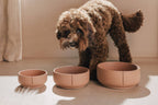 Pino – Classic Dog Bowl – Ultra-durable Sandstone & Hypoallergenic