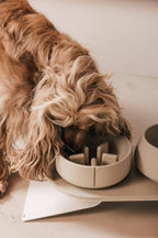 Pino – Slow Feeder Bowl – Ultra-durable Sandstone & Hypoallergenic