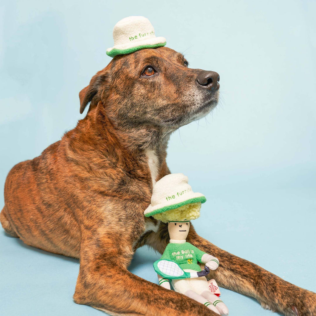 The Furryfolks – Tennis Hooman – Dog Interactive Nosework Toy