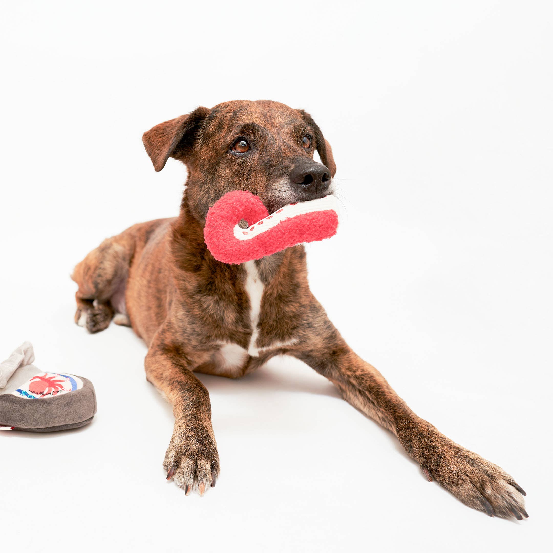 The Furryfolks – Tinned Octopus – Dog Interactive Nosework Toy