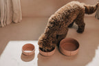 Pino – Classic Dog Bowl – Ultra-durable Sandstone & Hypoallergenic