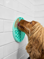 Dukier – Lick Mat – Stress-Reducing Food-Grade Silicone