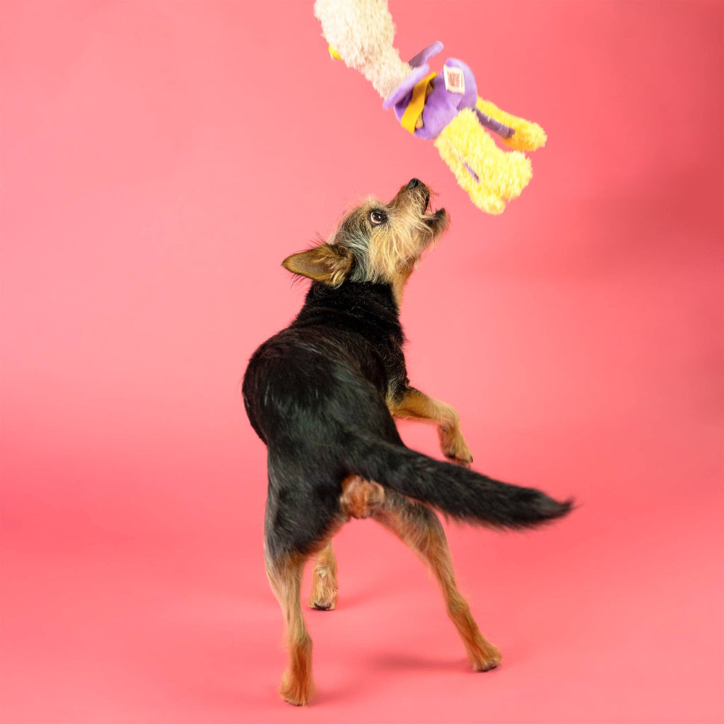 The Furryfolks – OstriKraken – Juguete Interactivo