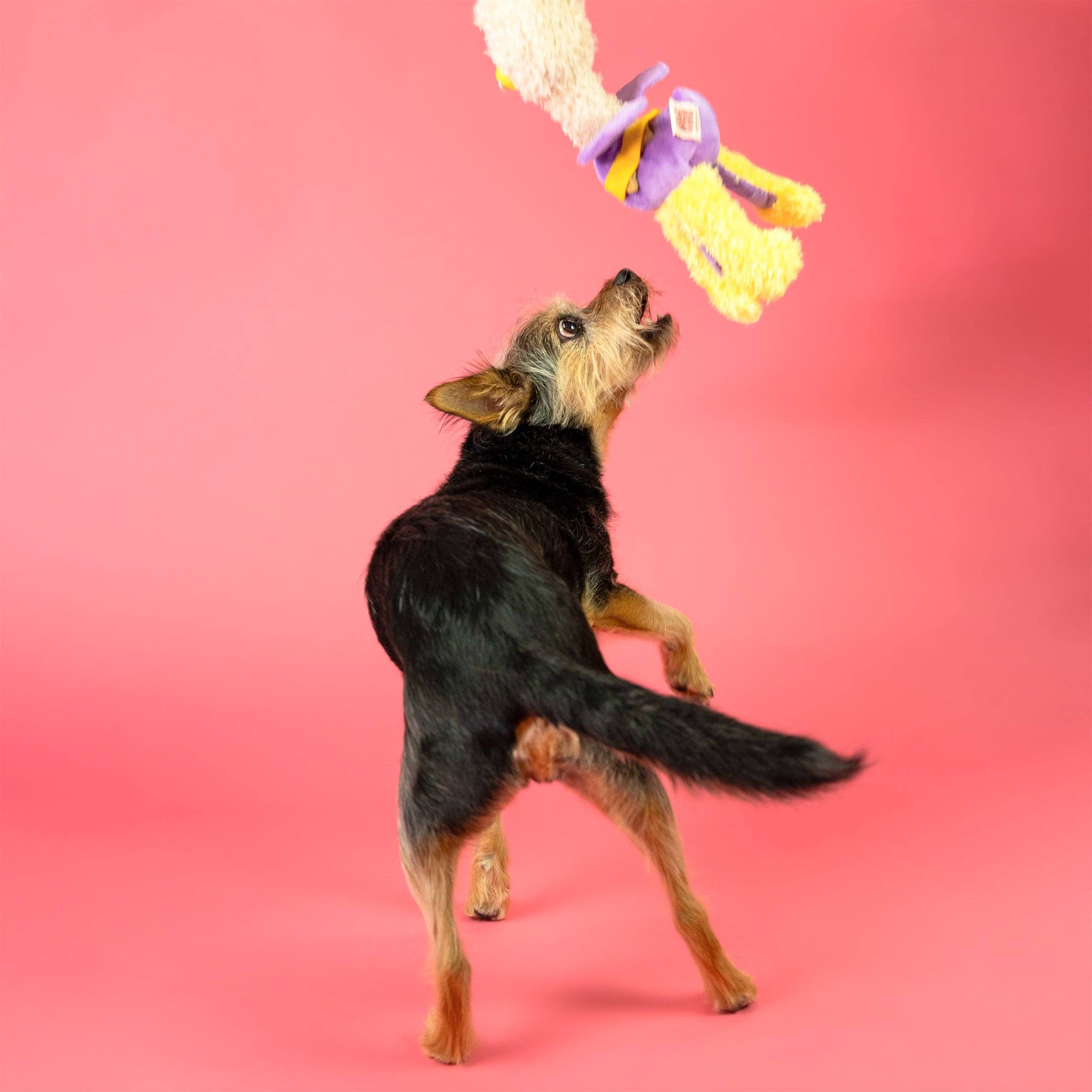 The Furryfolks – OstriKraken – Juguete Interactivo