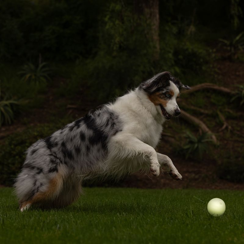 Chuckit! – Max Glow Ball – Caucho Luminescente