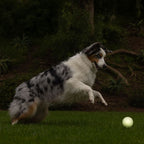 Chuckit! – Max Glow Ball – Caucho Luminescente